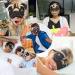 HXINFU Funny Pug Dog 3D Eye Mask for Men - Sleep Blindfold for Home & Office - Buy Online on GoSupps.com