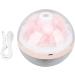 Pink Eternal Flower Essential Oil Diffuser | Aromatherapy LED Humidifier | 270ml Tank 30-50ml/h Spray Volume | Battery-Operated - Buy Online on GoSupps.com