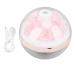 Mini-LED diffuser for essential oils with an eternal flower 270 ml pink humidifier for bedroom table aromatherapy humidification
