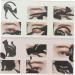 DRESSOOS Stencils 2pcs Plate Smoky Shadow Professional Shape Liner Pvc Eyeshadow Matte Eye Multifunction Guide Cat Eye Stencil - Buy Online on GoSupps.com