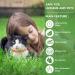 Cat Repellent Treatment Adjustable Cat Repellent Collars Natural Protection Repellent Collar for Cats Water Resistant Repellent Collar for Cats Small-Medium-Large Orange 4pack - Buy Online on GoSupps.com