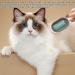Buy Multifunctional Cat Brush with Water - Perfect for Short Hair & Massage | Blue Pet Hair Removal Comb - Buy Online on GoSupps.com