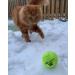 SPORTSPET Tennis Balls for Dogs - Extra Bouncy - Non Toxic - Durable - Long Lasting - Floats (12 Pack) (63.6mm) - Buy Online on GoSupps.com