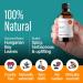 H ana Essential Laurel Oil 30 ml - Spicy Herbaceous Fragrance for Diffuser & Hair | Premium Essential Oil by Bayleaf - Buy Online on GoSupps.com