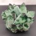 Home Decoration 1pcs300-900g Newly Natural Green Ghost Quartz Crystal Cluster Crystals raw Gemstone Specimen for Home&Office Decoration Stones (Size : 400-500g) - Buy Online on GoSupps.com