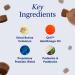 PetLab Co. Allergy & Immune Daily Probiotics for Dogs - 30 Chews | Supports Yeast Allergies Itchiness & Gut Health - Buy Online on GoSupps.com