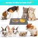 Umtiti Bowl Pad for Dogs & Cats | 60x40cm Waterproof Non-Slip Silicone Mat | Dishwasher Safe Gray - Buy Online on GoSupps.com