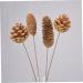 Zerodeko Dried Flower Floral Pinecone Flower Bouquet Diy Crafting Accessories Natural Dried Flowers Country Wedding Decor - Buy Online on GoSupps.com