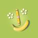 Intact Glucose Rolls - Vegan Banana Candy Multipack (15 x 40g) - 100% Natural Energy Boost - Buy Online on GoSupps.com