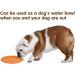 Buy Vivifying Frisbee Dog - Set of 2 Natural Rubber 15 cm Dog Frisbees for Land & Water (Green + Orange) - International Shipping Available - Buy Online on GoSupps.com