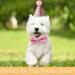 Dog Birthday Hat Dog Party Hat Kit with Bow Tie Collar and Blue Number for Pet Puppy Cat Birthday Decorations Pet Costumes Headwear Accessories 3 Pcs (Pink) - Buy Online on GoSupps.com