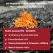 ENERGIZE NOW by EVERSIO WELLNESS - Organic Cordyceps Mushroom Supplement - 8:1 Cordyceps Militaris Extract in 60 Vegan Capsules (500mg) - Cordyceps Mushroom Capsules Made with Organic Extract from Real Mushrooms and NO GRAIN - 32% Verified Beta-D-Glucans! - Buy Online on GoSupps.com