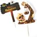 1 Set Halloween Cake Topper Cake Decorations Ghost Skull Cake Decorations Cupcake Topper for Halloween Party Supplies Decor - Buy Online on GoSupps.com