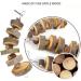 CAMITER 31pcs Natural Apple Wood Chew Toys for Hamster, Rabbit, Guinea Pig - Teeth Care, Molar Toy for Small Pets - Buy Online on GoSupps.com