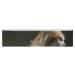 Resistance Bands Exercise Bands Orange and White Cat Printed Elastic Band Leg Bands Resistance Fitness Bands Fabric Resistance Bands
