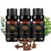 Aromatherapy Cedar Essential Oil Set for Diffuser 3X10ml 100% Pure Eucalyptus Essential Oil Kit for Humidifier - Eucalyptus Cedar Clove Essential Oil Set Aromatherapy Clove Essential Oils Kit
