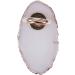 AVIDYA 1 Pc Resin Stone Color Nail Art Ring Palette Finger Ring Plate Acrylic Cream Foundation Mixing Nail Art Equipment - Buy Online on GoSupps.com