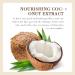 Sadoer Coconut Oil Lip Balm - Nourishing & Hydrating | International Shipping Available - Buy Online on GoSupps.com