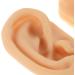 GALPADA 1 Pair Silicone Ear Model - Realistic Artificial Ear Mold for Picking Training - Fake Body Part for Piercing Acupuncture Practice Classroom and Home Decor - Buy Online on GoSupps.com