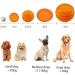 Laroo Dog Toys: Durable Natural Rubber Squeaker Dog Ball Football for Small & Large Dogs - 6.5*8cm Orange - Buy Online on GoSupps.com