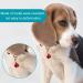 Cat Bells for Collars Loud Dog Bells for Collar 14 Pcs Colourful Pet Bells for Collars Small Cat Bells Collar Charms with Lobster Clasp Puppy Loud Bell Pendant for Dog Cat Collar DIY Craft - Buy Online on GoSupps.com