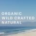 Organic H20 Glow Tanning Mist Medium-Dark 4 oz | Chocolate Sun | Clean Non-Toxic Formula - Buy Online on GoSupps.com