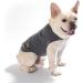 Caracaleap Dog Sweater - Soft & Warm Winter Clothing for Small Dogs & Cats - Fuzzy T-Shirt in Dark Gray - Buy Online on GoSupps.com