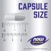 NOW Foods L-Glutamine 1000mg 120 Capsules - Pure and Potent Formula - Buy Online on GoSupps.com