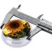 Farm Sunflower Portable Metal Pill Box - Round Mini 3-Compartment | Travel-Friendly Black Design for Small Pills - Buy Online on GoSupps.com
