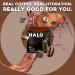 HALO Iced Mocha Latte Energy Drink Powder | Healthy Coffee Mix with Electrolytes Caffeine Vitamins - 20 Calories Keto-Friendly - 12 Sticks - Buy Online on GoSupps.com