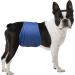 Shop LeerKing Washable Male Dog Diapers - Incontinence Pad for Puppies - Size S in Black Gray & Blue - Buy Online on GoSupps.com