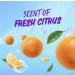 Aussie Instant Freeze Non-Aerosol Hairspray 8.5 Oz (Pack of 3) Freeze Spray 8.5 OZ (Pack of 3) - Buy Online on GoSupps.com