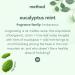 Method Daily Shower Cleaner Spray - Plant-Based, No Scrub, Eucalyptus Mint, 28 oz, 4 Pack - Buy Online on GoSupps.com