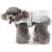 Qcwwy Princess Dress for Dogs & Cats - Comfortable Breathable Mesh Summer Dress (XL) | Perfect for Small Pets | Stylish Dog Apparel - Buy Online on GoSupps.com