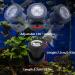 FOEERS RGB Submersible Pond Lights - 12 Super Bright IP68 Waterproof LED Fountain Lights with Remote Control, 7 Color Changing Landscape Spotlight for Fish Pond, Tank, Pool, Water Garden (4-in-1) - Buy Online on GoSupps.com