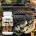 Parker Naturals Organic Turkey Tail Mushroom Capsules - 120ct Immune System Support - Buy Online on GoSupps.com