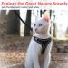 Cat Dishes Set with Leash | Breakout Cat Feeders for Kittens & Puppies | International Shipping Available - Buy Online on GoSupps.com