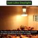 MIXJOY 160 Watt High Intensity Self-Ballasted UV/Heat Mercury Vapor Light Bulb UVA UVB Full Spectrum Sun Light for Reptile and Amphibian Use - Buy Online on GoSupps.com