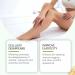 Natural Wormwood Cream with Frankincense | Moisturizing Soothing & Firming Organic Body Cream - Buy Online on GoSupps.com