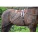 Aces Equine HORSE LUNGING TRAINING AID PESSOA STYLE WITH BODY ROLLER ONE SIZE BLACK AND BROWN - Buy Online on GoSupps.com
