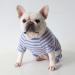 BT BEAR Colorful Striped Dog Pajamas - Soft Cotton One-Piece Costume for Bulldogs & Puppies - Blue & Pink - XXL Size - Buy Online on GoSupps.com