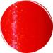 Buy Jessica Cosmetics GELeration Flaming Orange - Top Quality Gel Nail Polish for International Shipping - Buy Online on GoSupps.com
