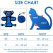 Breakproof Cat Dishes & Adjustable Vest Set for Small Kittens | Reflective Blue XS Leash for Safe Outdoor Adventures - Buy Online on GoSupps.com