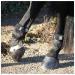 EQU StreamZ Magnetic Horse Bands/Boots (Pair) | No-Heat Magnetism | 24/7 Use for Hocks & Fetlocks | Advanced Magnetic Technology - Buy Online on GoSupps.com