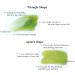 7-Piece Natural Resin Gua Sha Scraping Massage Tool Set for Face, Back, and Neck - Green - Buy Online on GoSupps.com