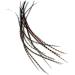 Real Feather Hair Extensions - Auburn Naturals (Pack of 10 Feathers) - Buy Online on GoSupps.com