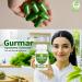 Morsan Healthcare Gurmar (Gymnema sylvestre) Capsules 500mg | 60 Vegan Capsules | Natural Himalayan Extract | Pure Herbal Supplement | Traditional Ayurvedic Herb | Plant-Based | Pack of 1 - Buy Online on GoSupps.com