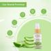 Lotus Herbals Active Aloe + Niacinamide Brightening Boost Serum | Enhances Radiance & Hydrates Skin | Praben Free | All Skin Types 30ml - Buy Online on GoSupps.com