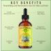 Natural Born Oils Jamaican Black Castor Oil 16oz Organic Cold-Pressed Fatty Acids Deep Hydration for Skin Hair Restoration - Buy Online on GoSupps.com