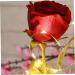 TOPBATHY Artificial Flowers Valentine's Day Present LED Flower Wall Rectangular Flower Vase As Shown 10*10cm - Buy Online on GoSupps.com
